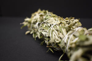 Bringing Nature Inside -Herbs -Mugwort