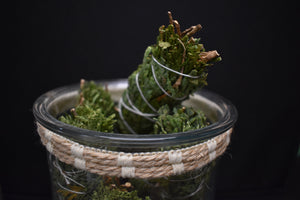 Bringing Nature Inside -Herbs -Cedar