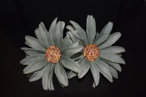 Flowers- Hairclip